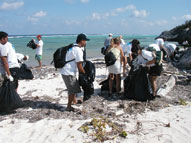 Beach Cleanup